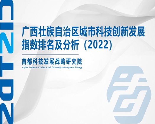 免费看真实操逼操到经孪的网站【成果发布】广西壮族自治区城市科技创新发展指数排名及分析（2022）